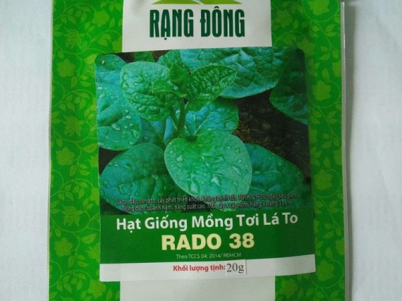 Hạt Giống Mồng Tơi Lá To RADO 38